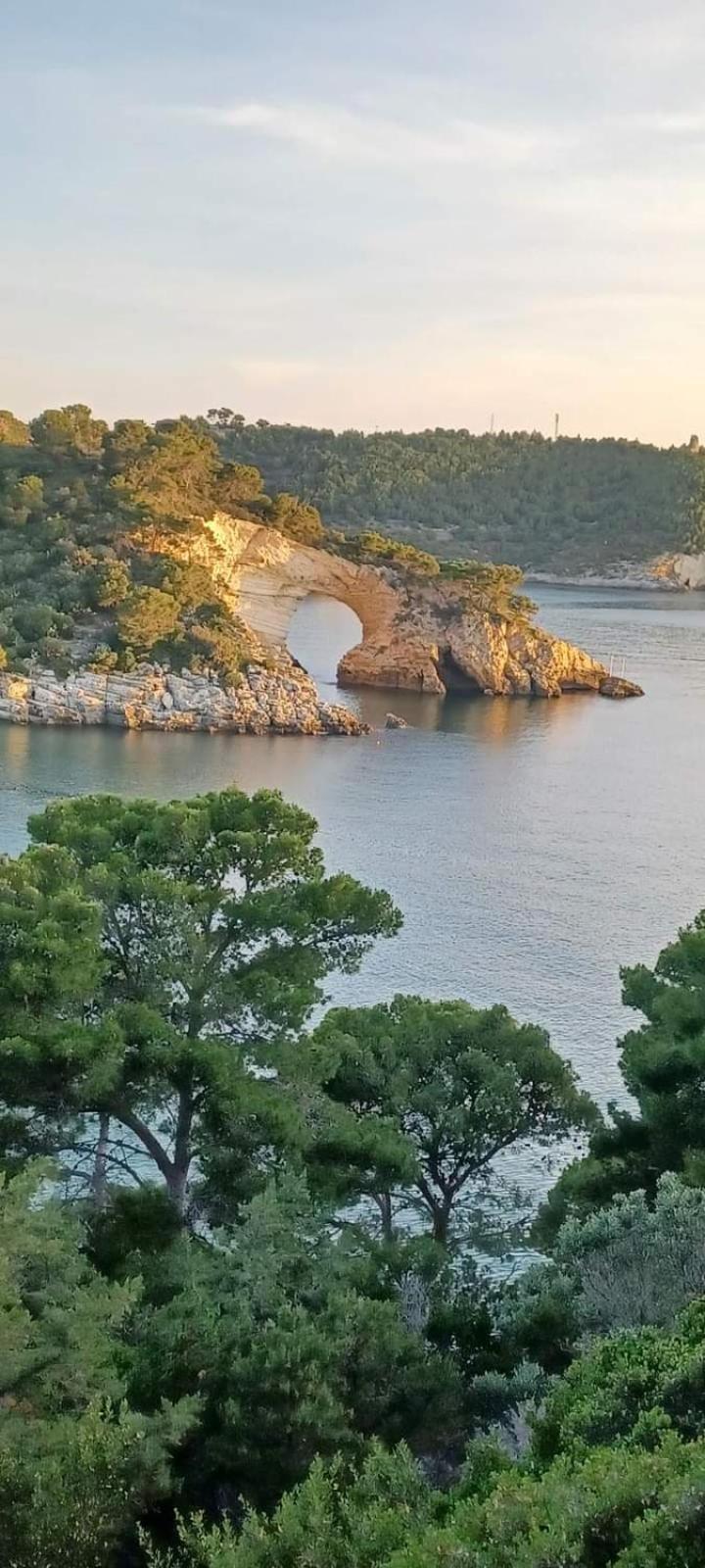 Azienda Agricola Gentile - La Casa Degli Ulivi Vieste Bilik gambar